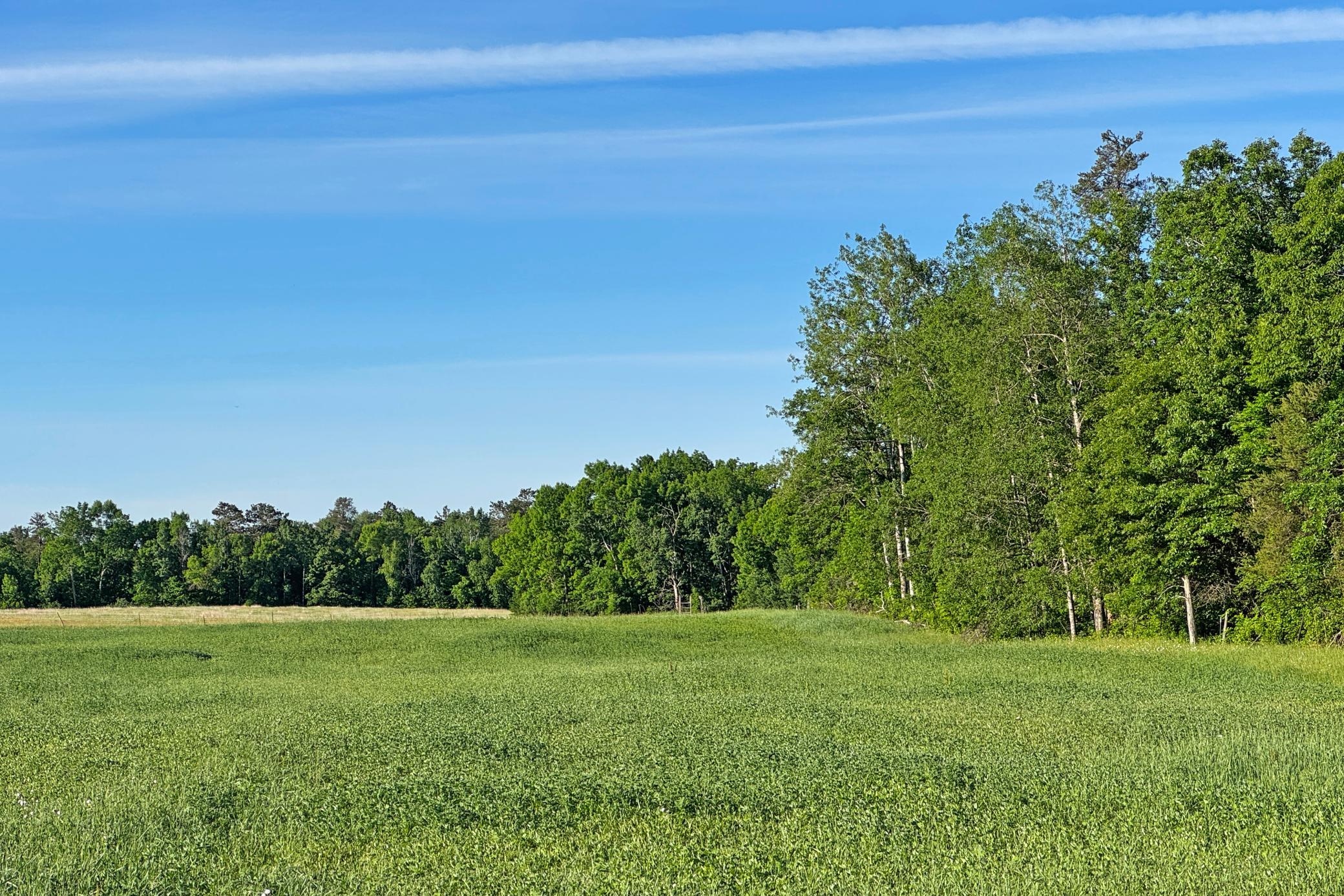 22-Crosslake-25-Land-10.JPG