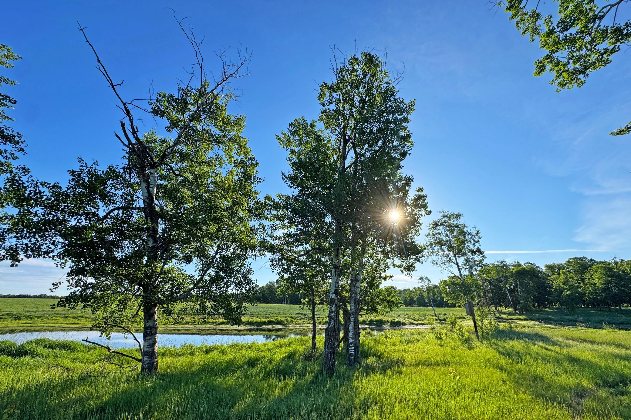 24-Crosslake-25-Land-12.JPG