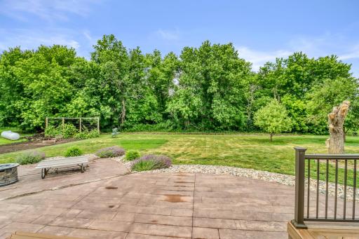Backyard1_1-3264.JPG