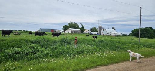 33598 State 28, Burtrum, MN 56318