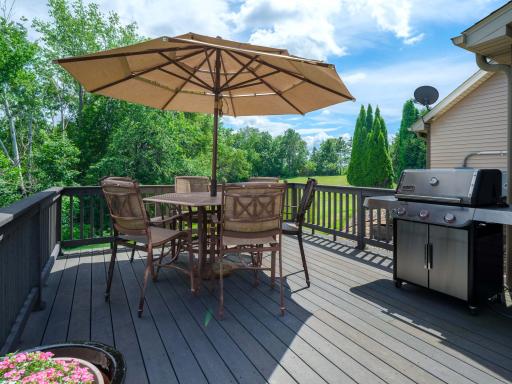 70021 335th Avenue, Lake City, MN 55041