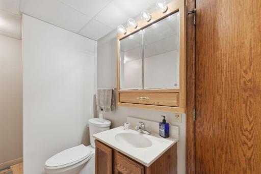 Lower Level Bathroom