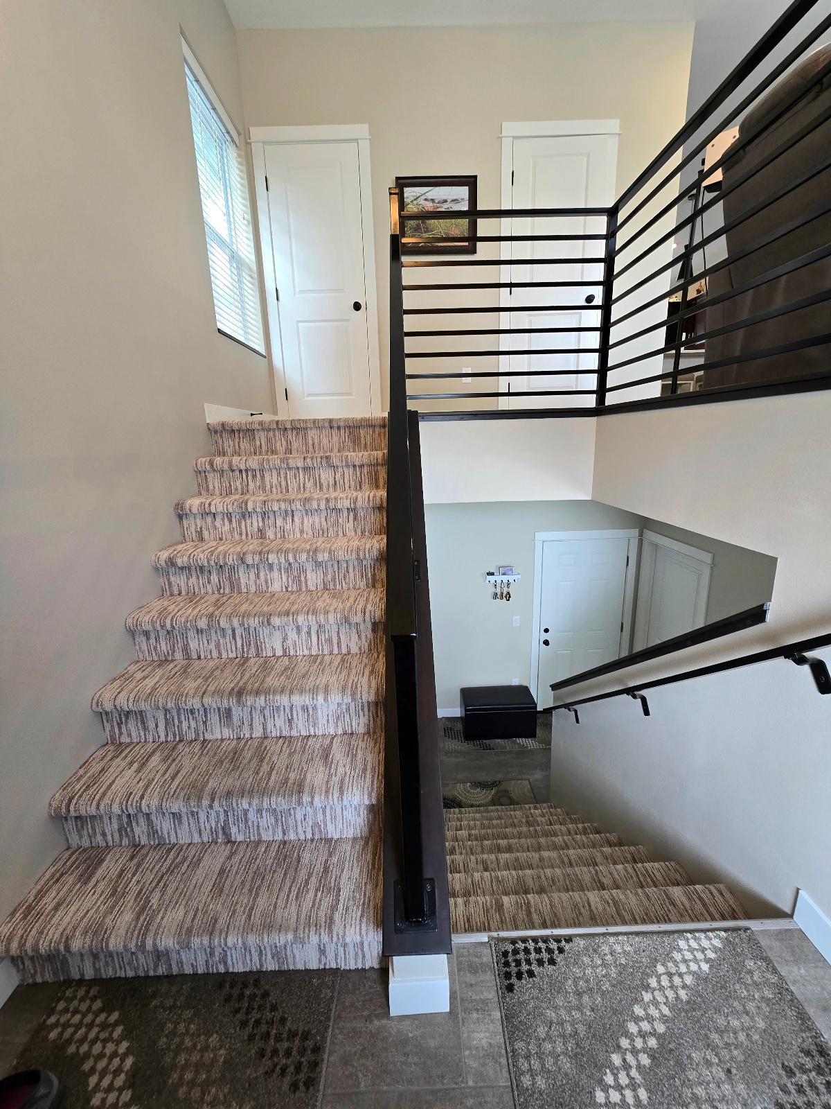 Main level/Basement