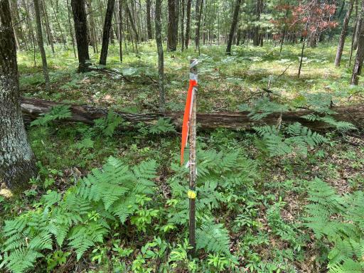 LOT 14 Loon Lake Road, Danbury, WI 54830