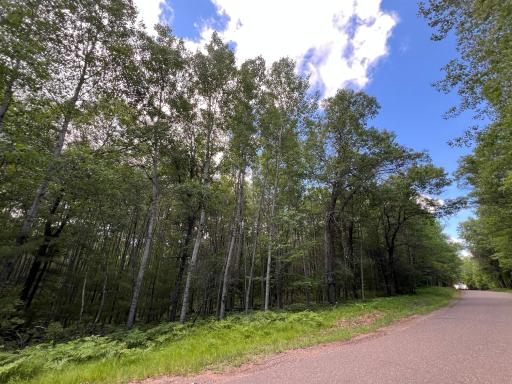 LOT 14 Loon Lake Road, Danbury, WI 54830