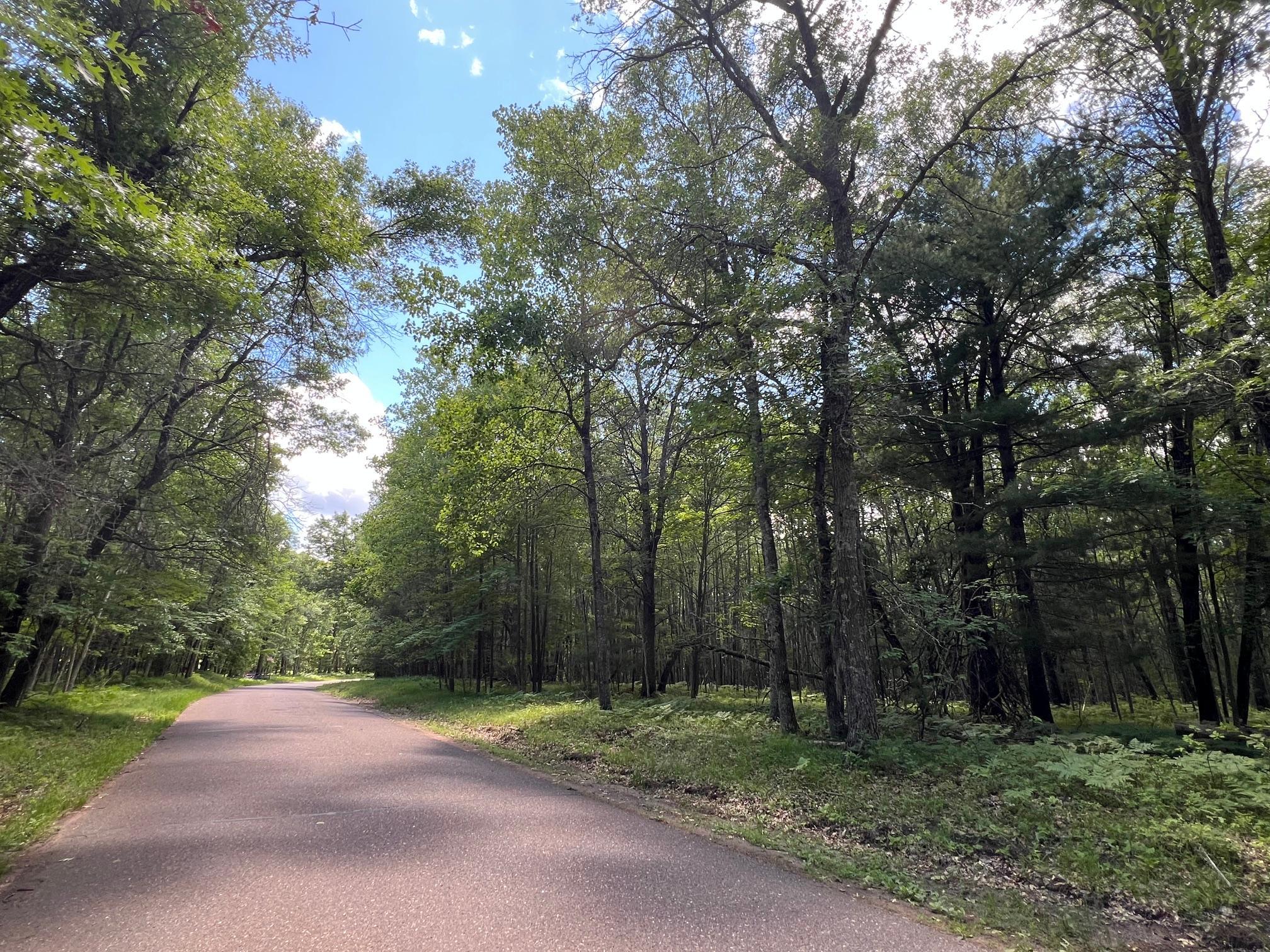 Property photo for LOT 14 Loon Lake Road, Danbury, WI 54830