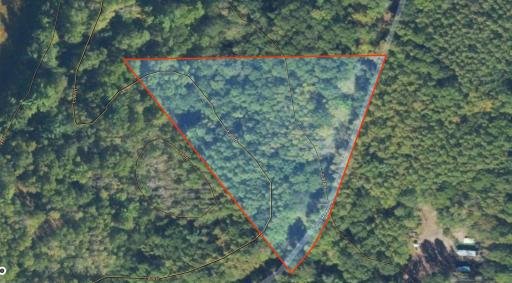 LOT 14 Loon Lake Road, Danbury, WI 54830