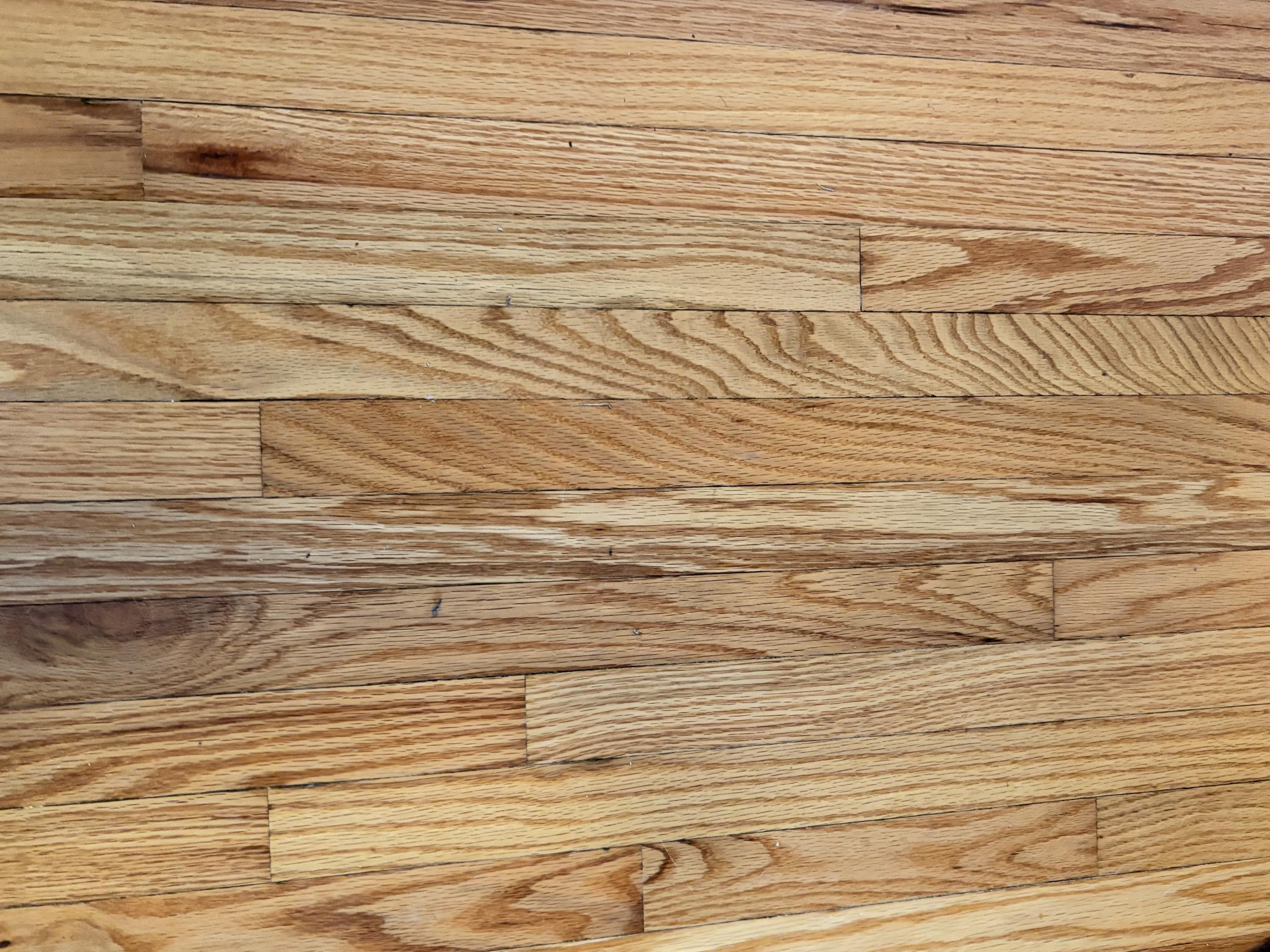 Beautiful Refinished Hardwood Floors.JPG