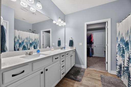 Primary En Suite w/ Walk in Closet