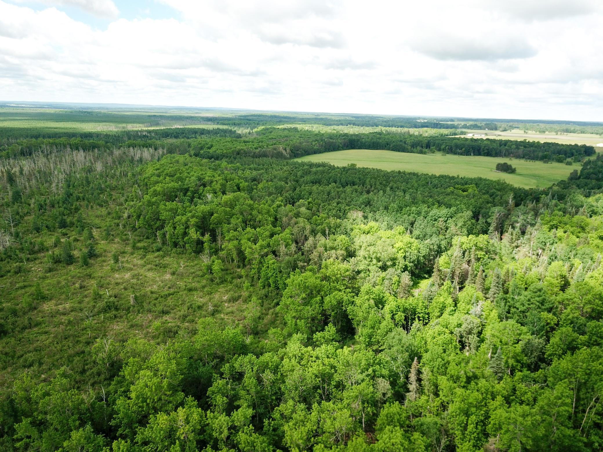 DJI_0074.JPG