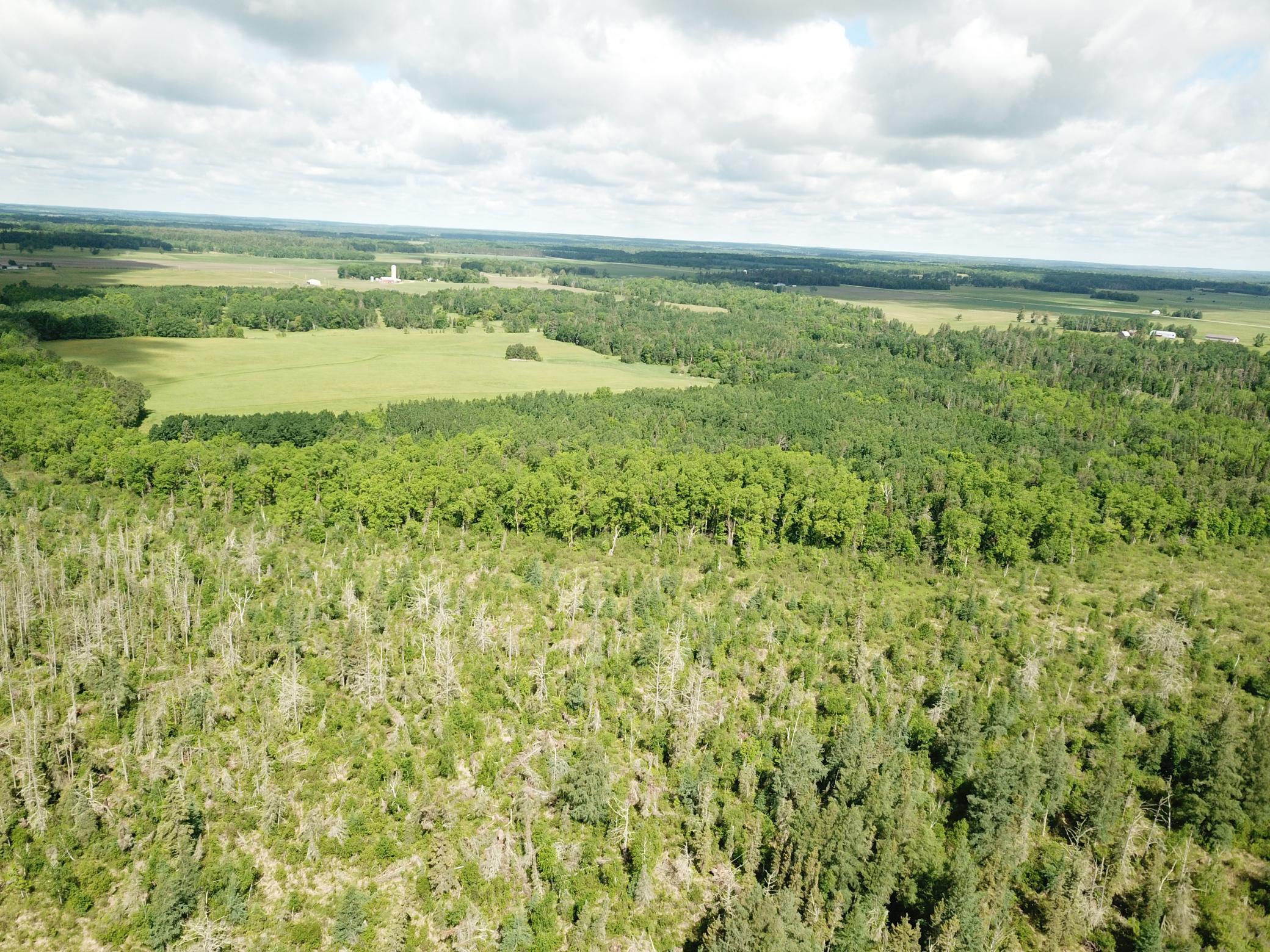 DJI_0042.JPG