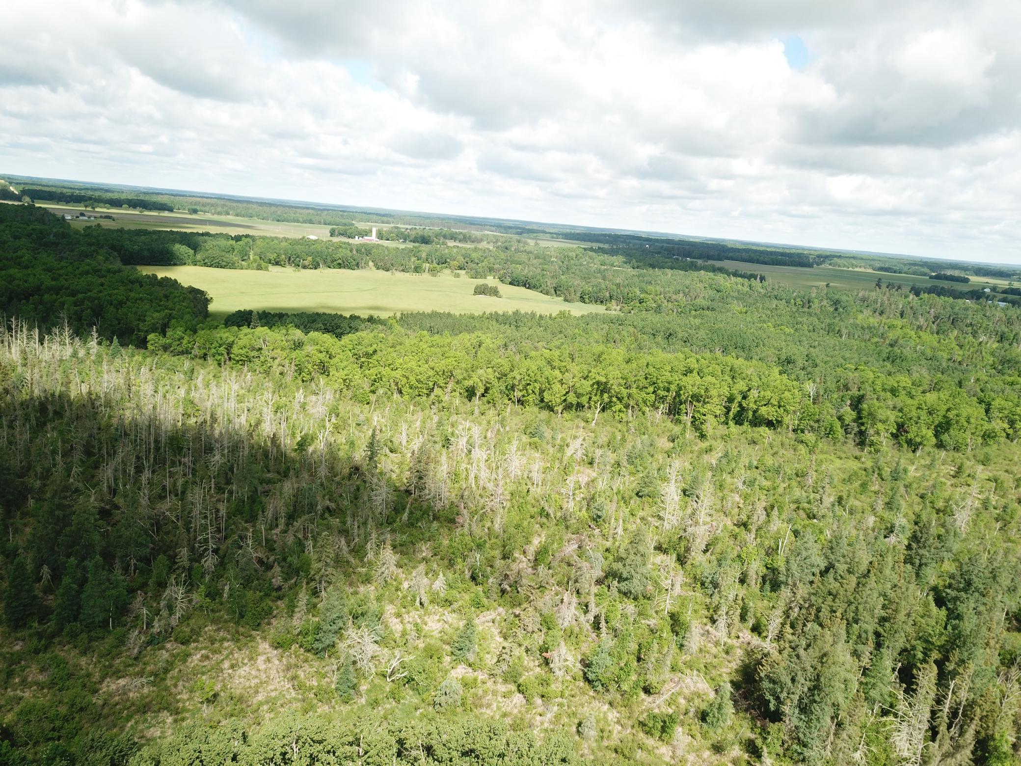 DJI_0048.JPG