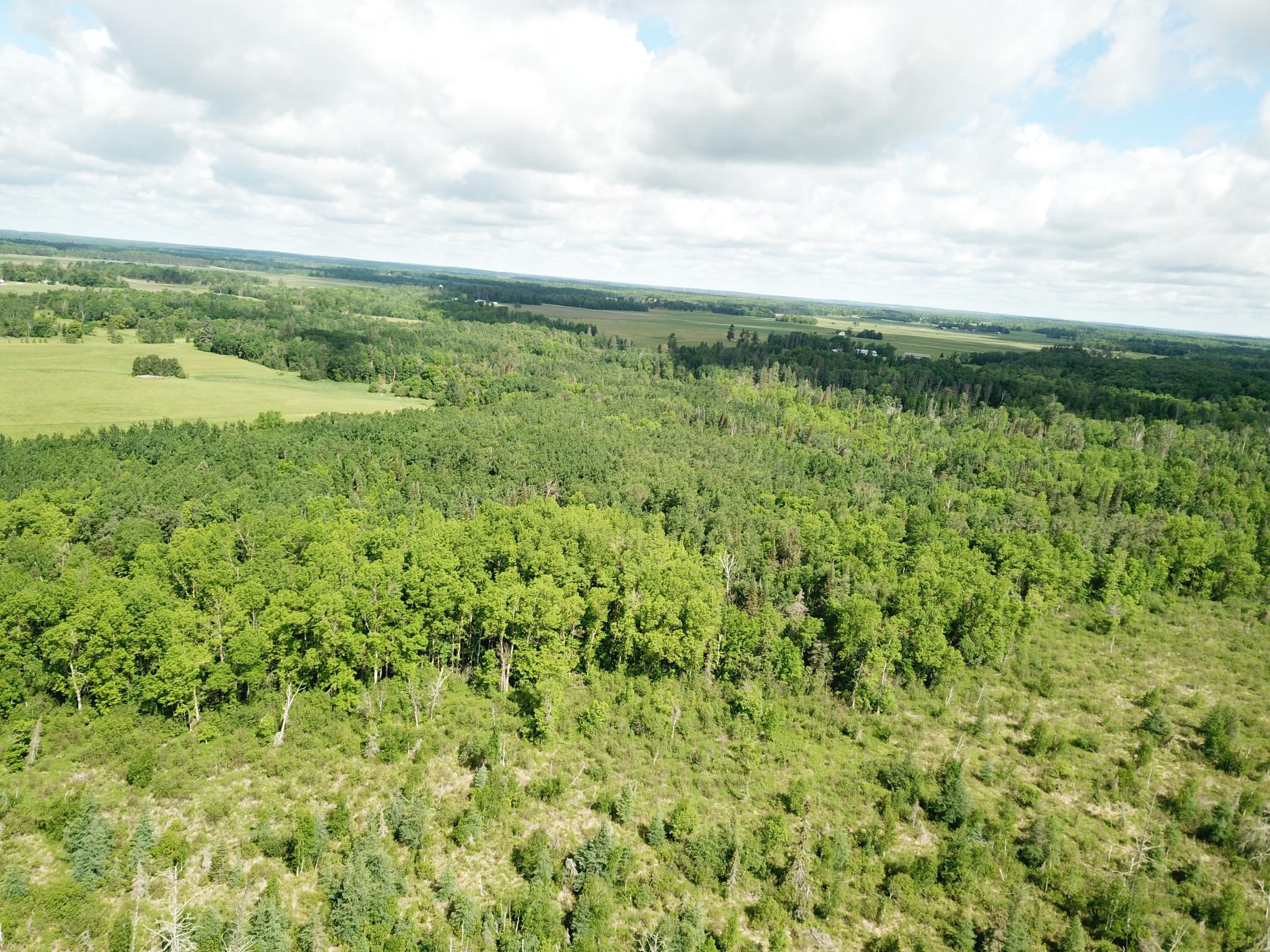 DJI_0052.JPG