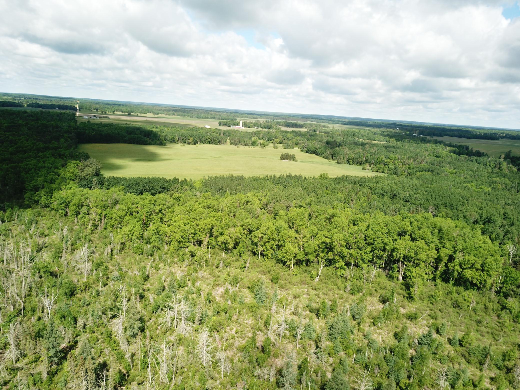 DJI_0051.JPG
