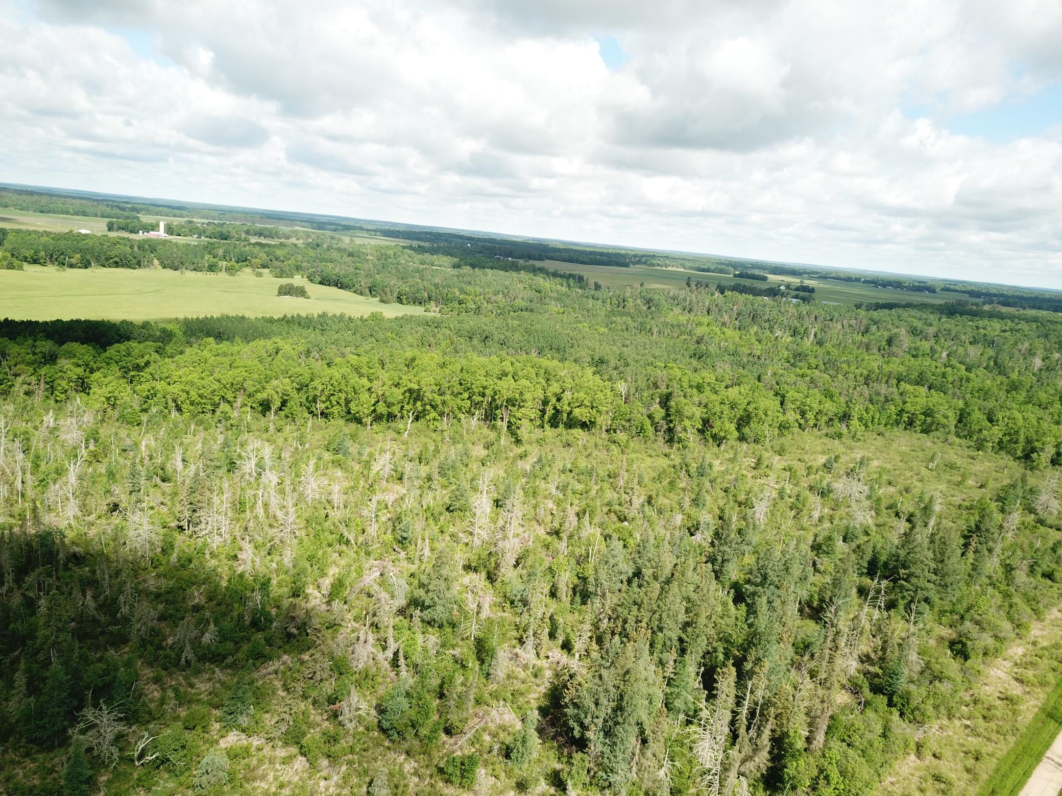 DJI_0049.JPG
