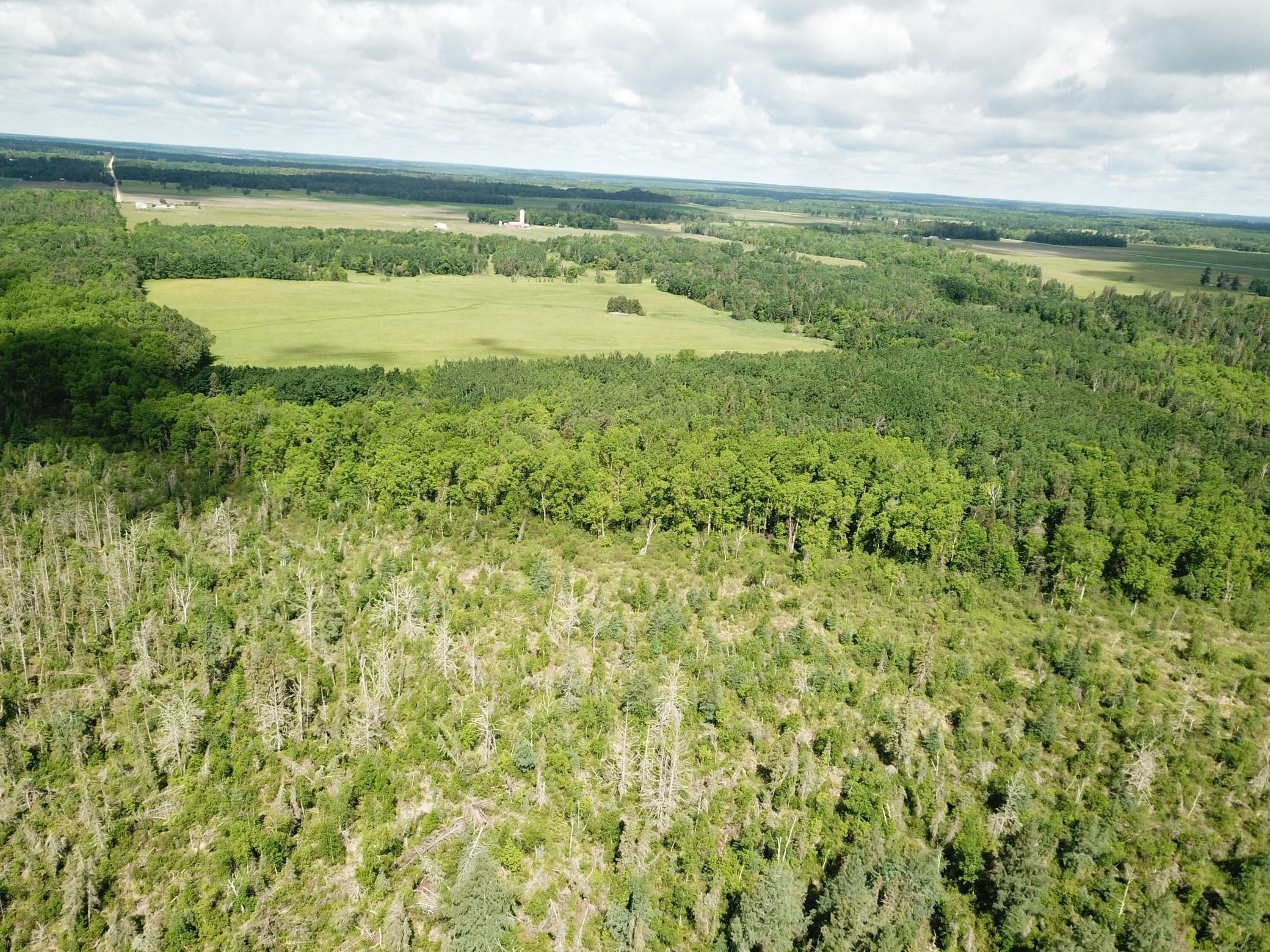 DJI_0061.JPG