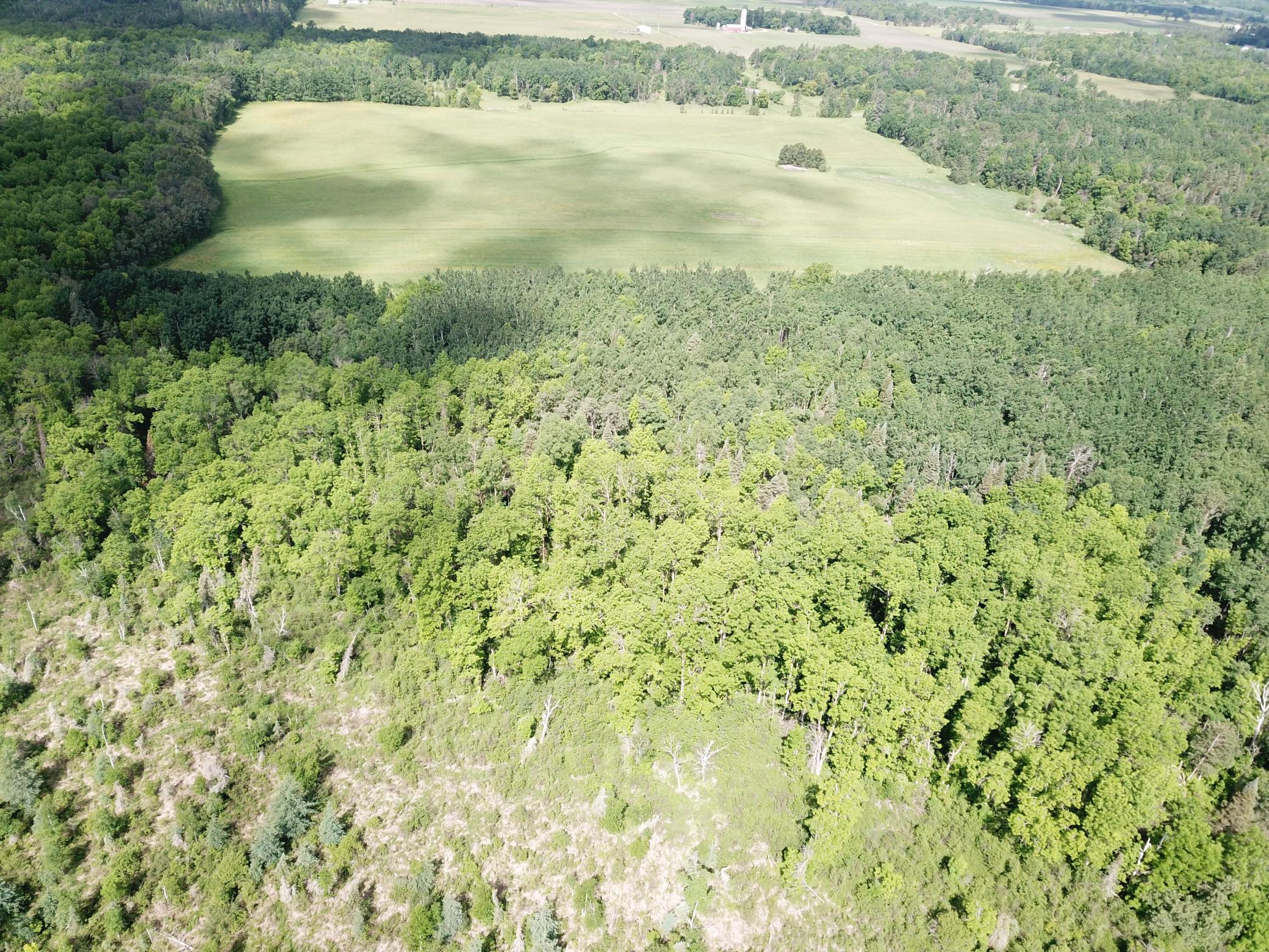 DJI_0059.JPG