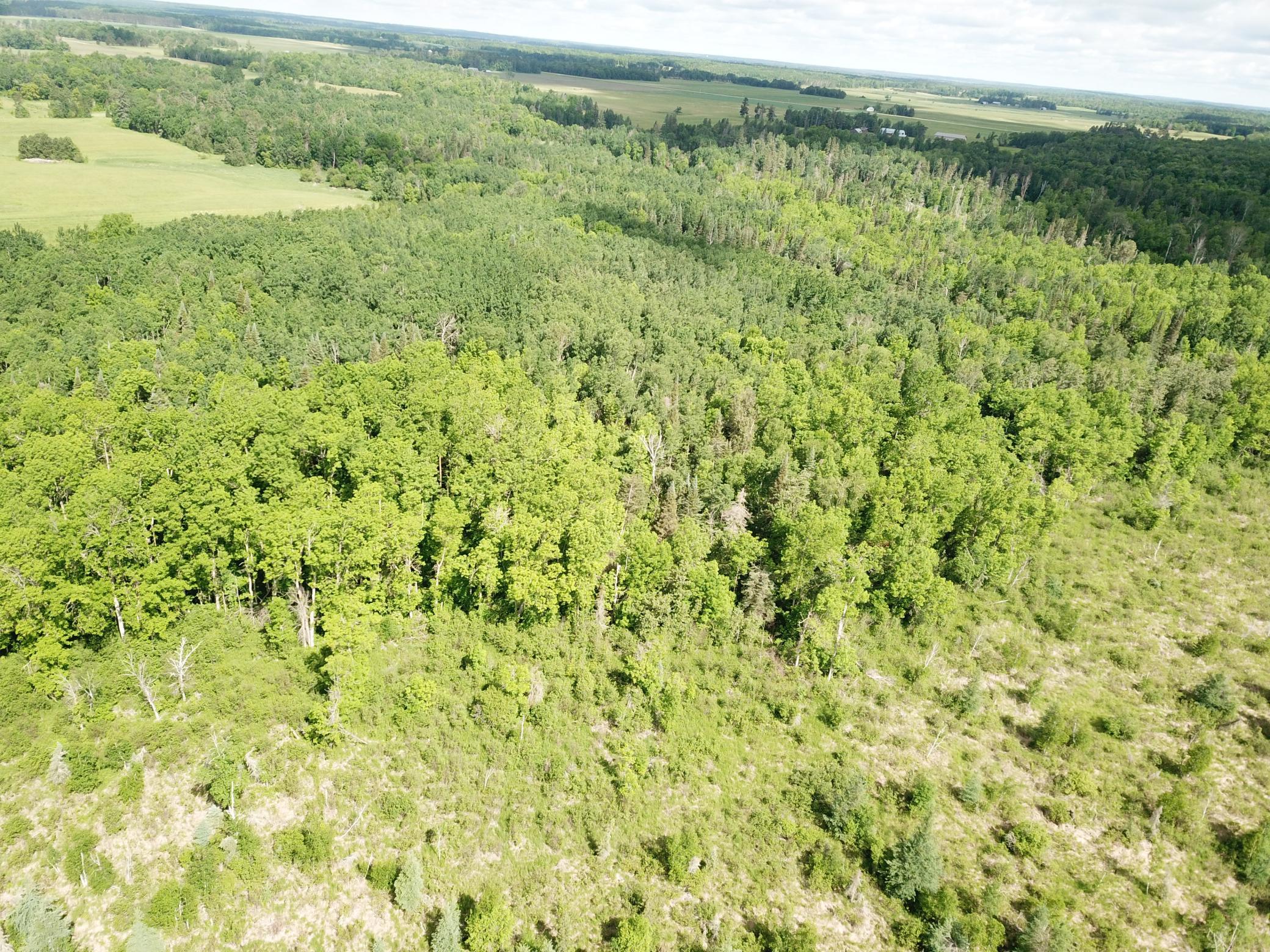 DJI_0056.JPG