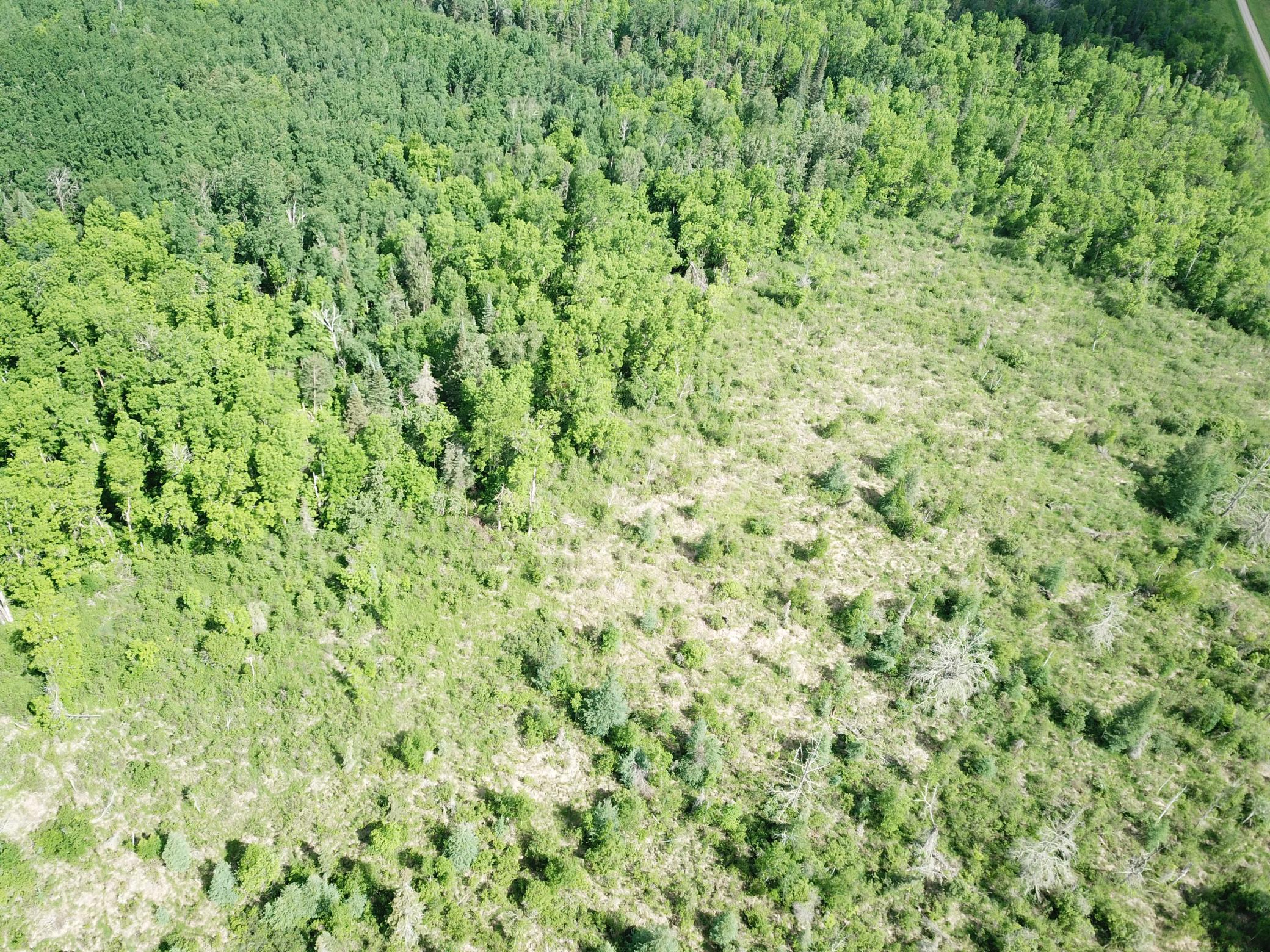 DJI_0060.JPG
