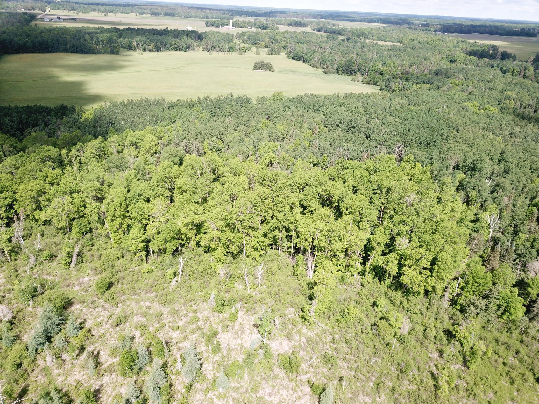DJI_0057.JPG