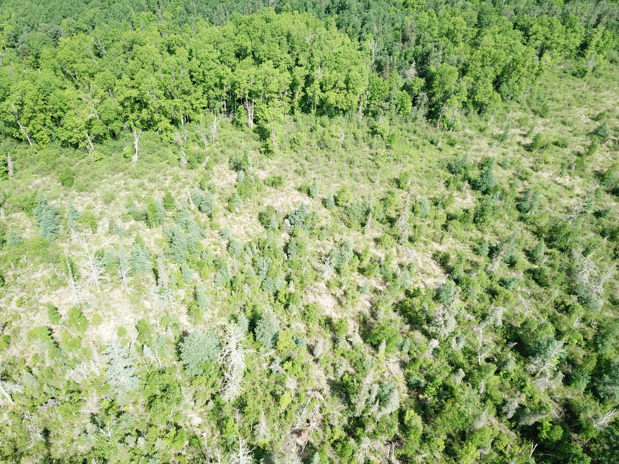 DJI_0053.JPG
