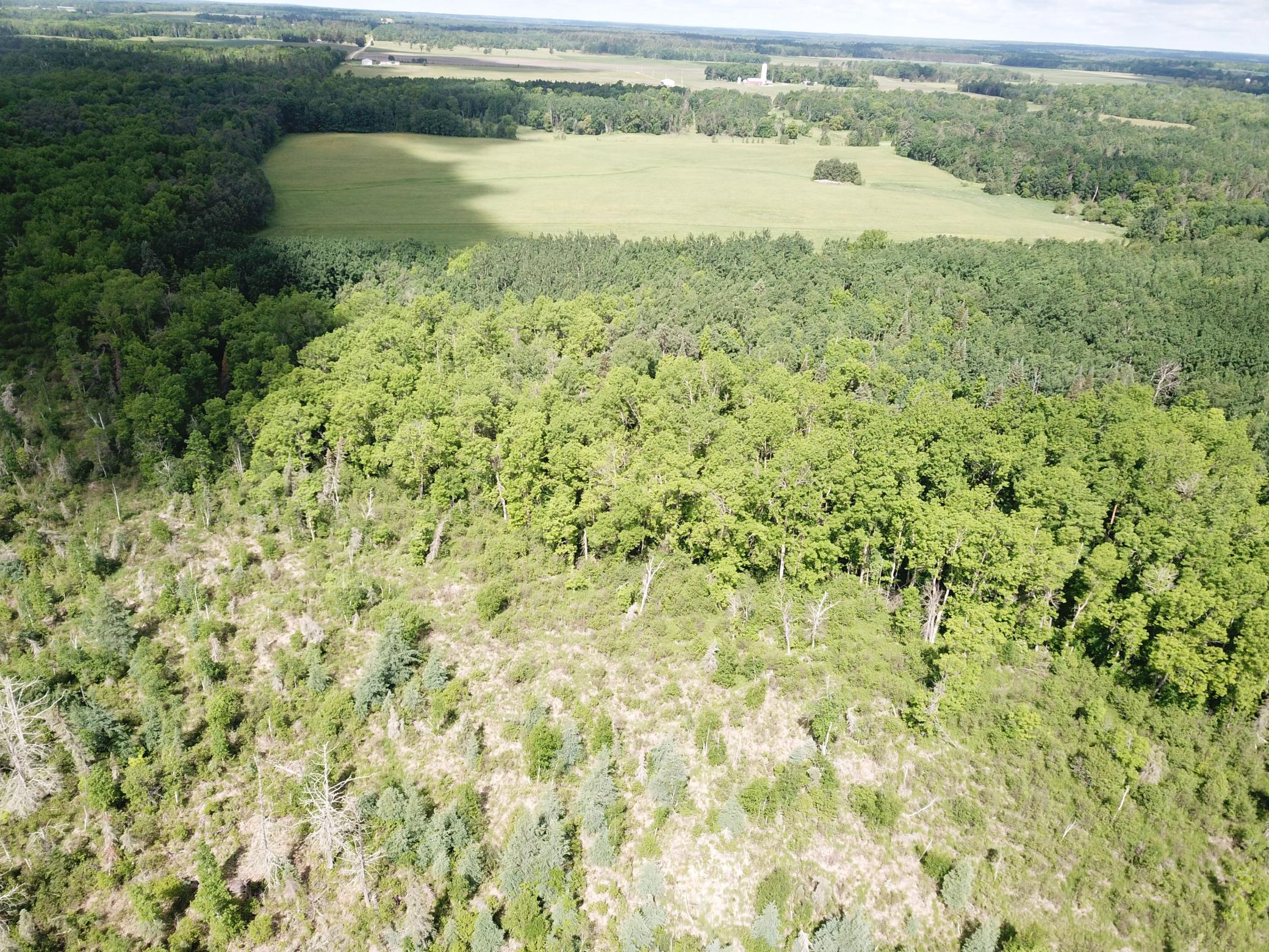 DJI_0055.JPG