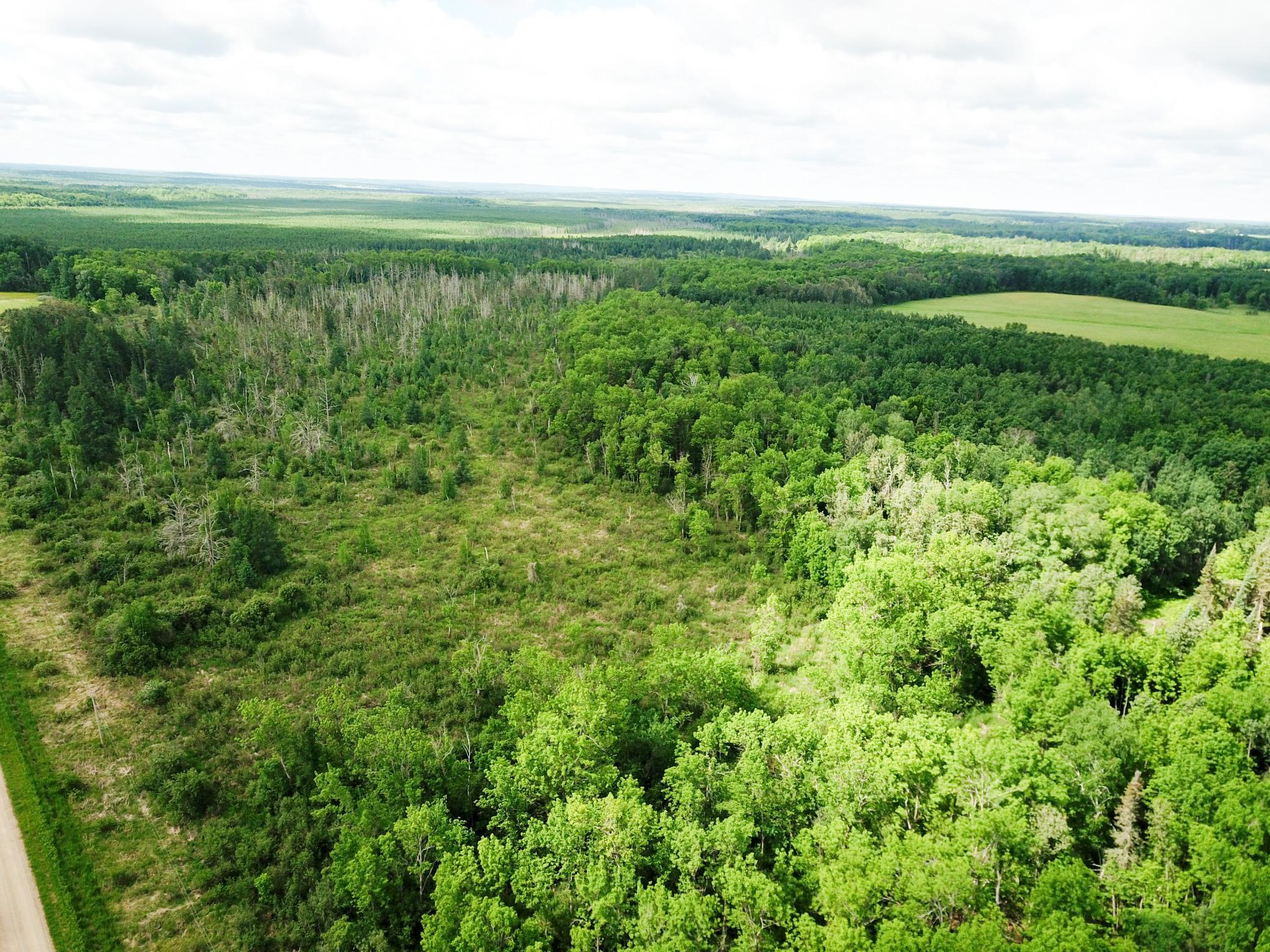 DJI_0075.JPG
