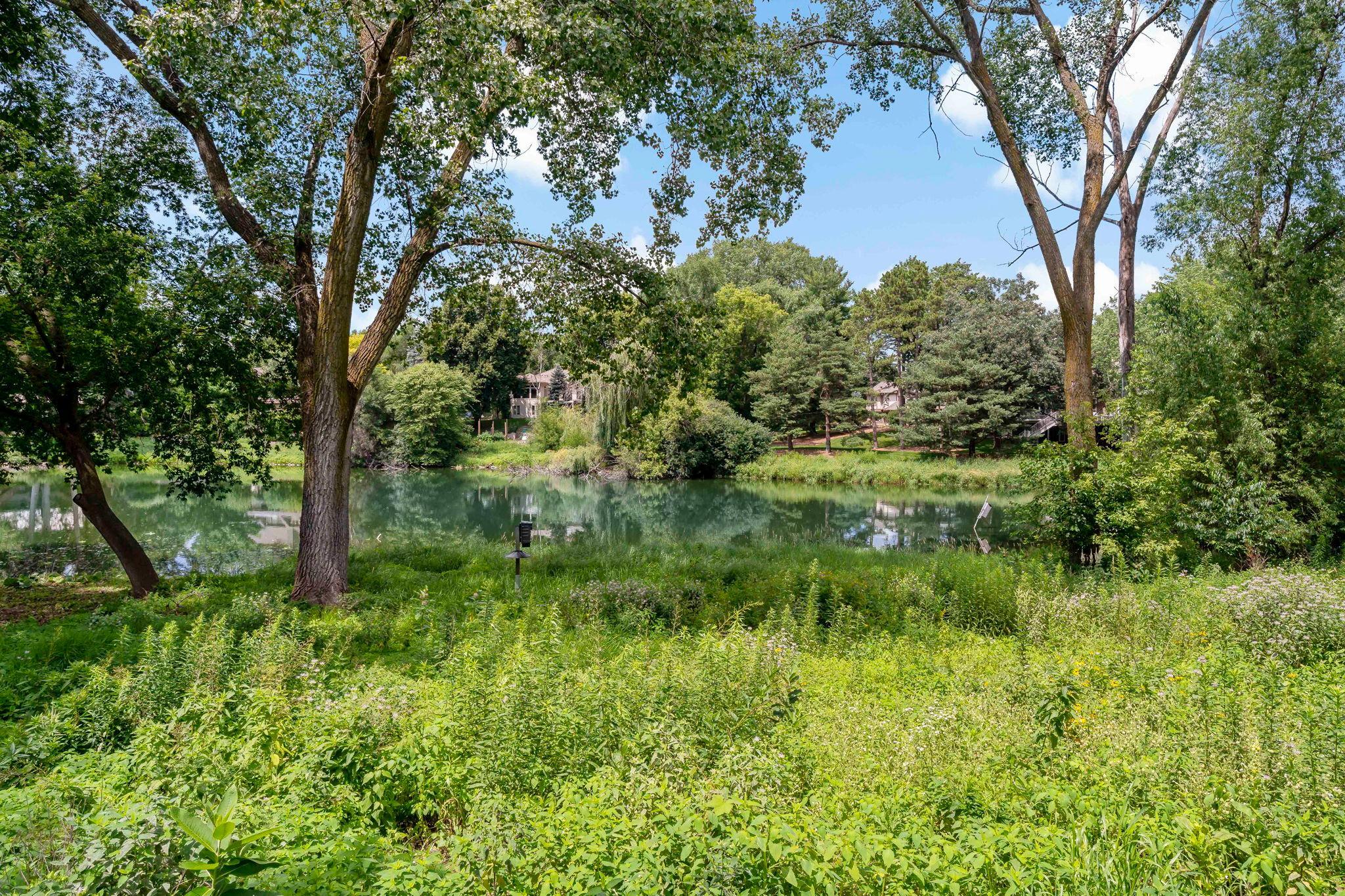 Backyard prairie and pond