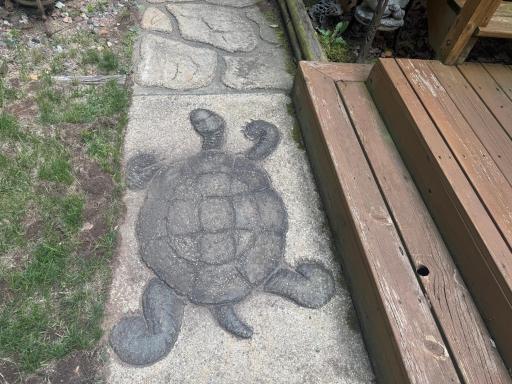 Unique stamped concrete features creative animal and reptile designs