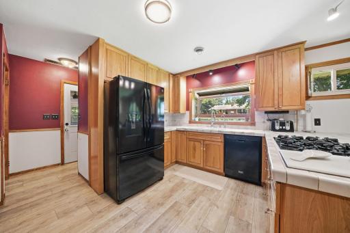 208 Snow Ridge, Le Sueur, MN 56058