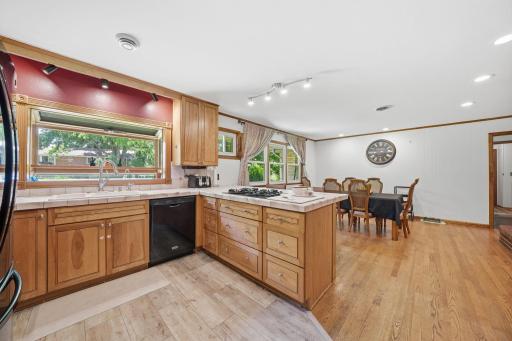208 Snow Ridge, Le Sueur, MN 56058
