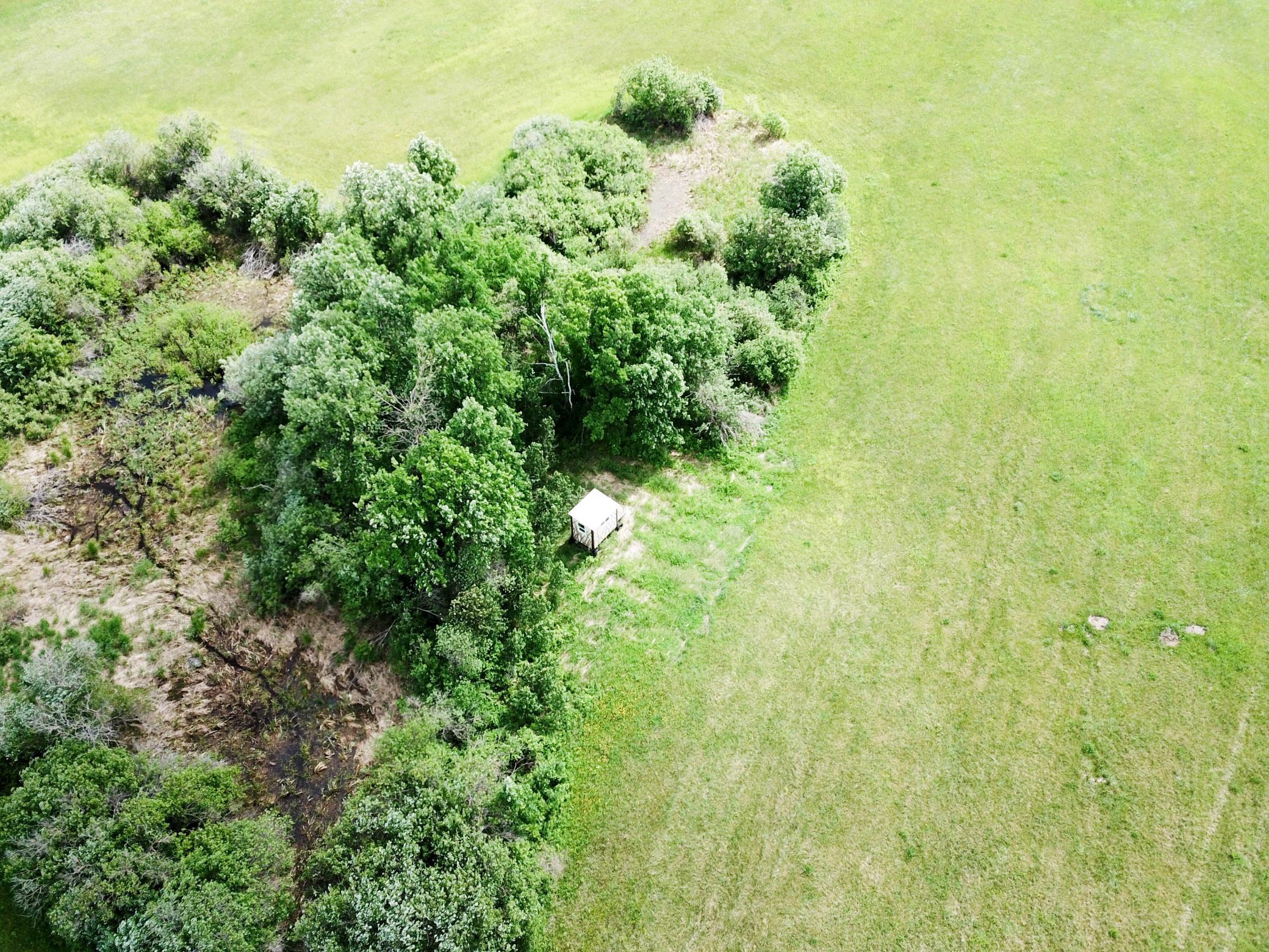 DJI_0098.JPG