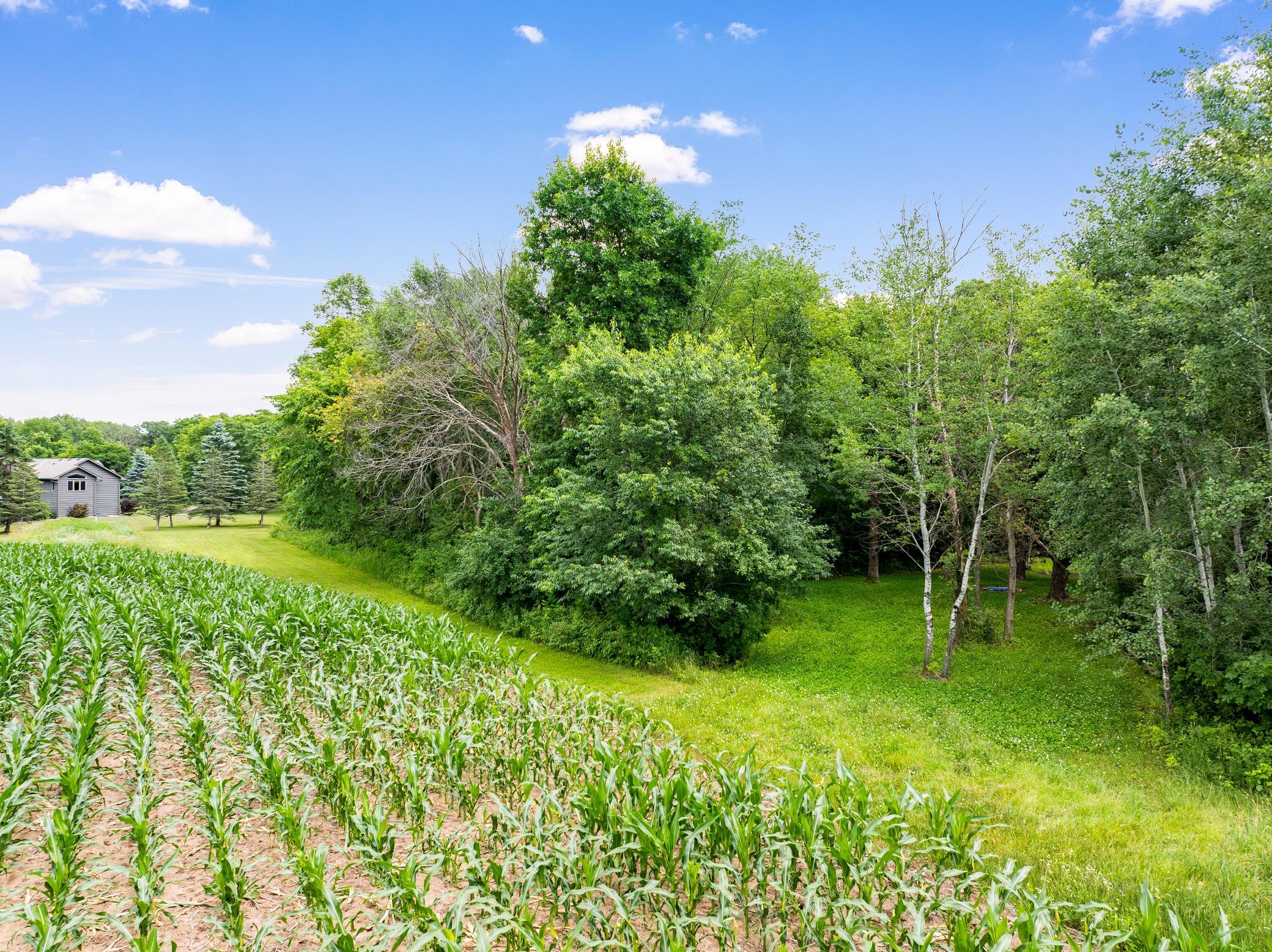 A well planned clover food plot just west of the home helps to attract deer, turkey, black bear, pheasant, grouse, and more.
