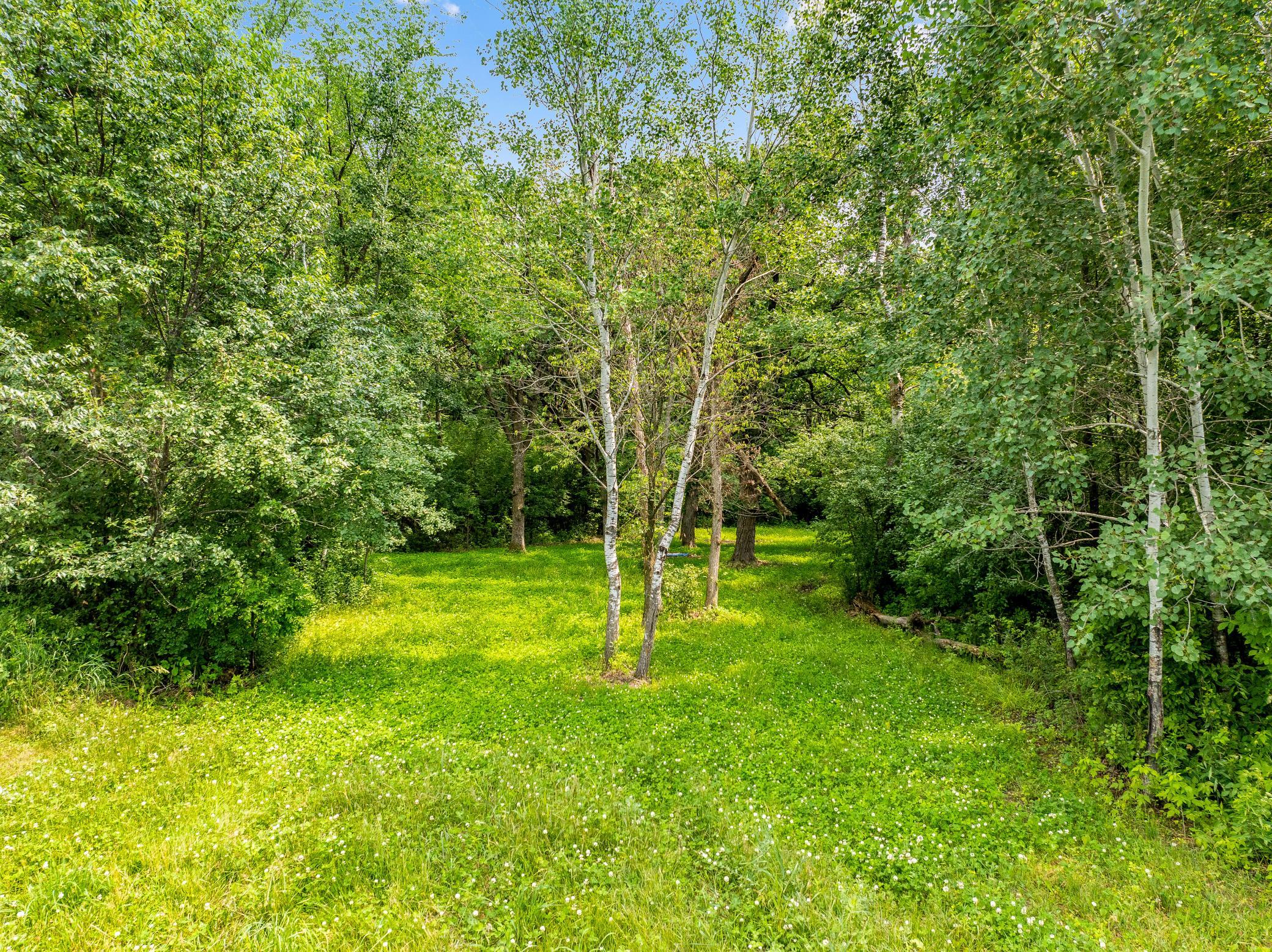 A well planned clover food plot just west of the home helps to attract deer, turkey, black bear, pheasant, grouse, and more.