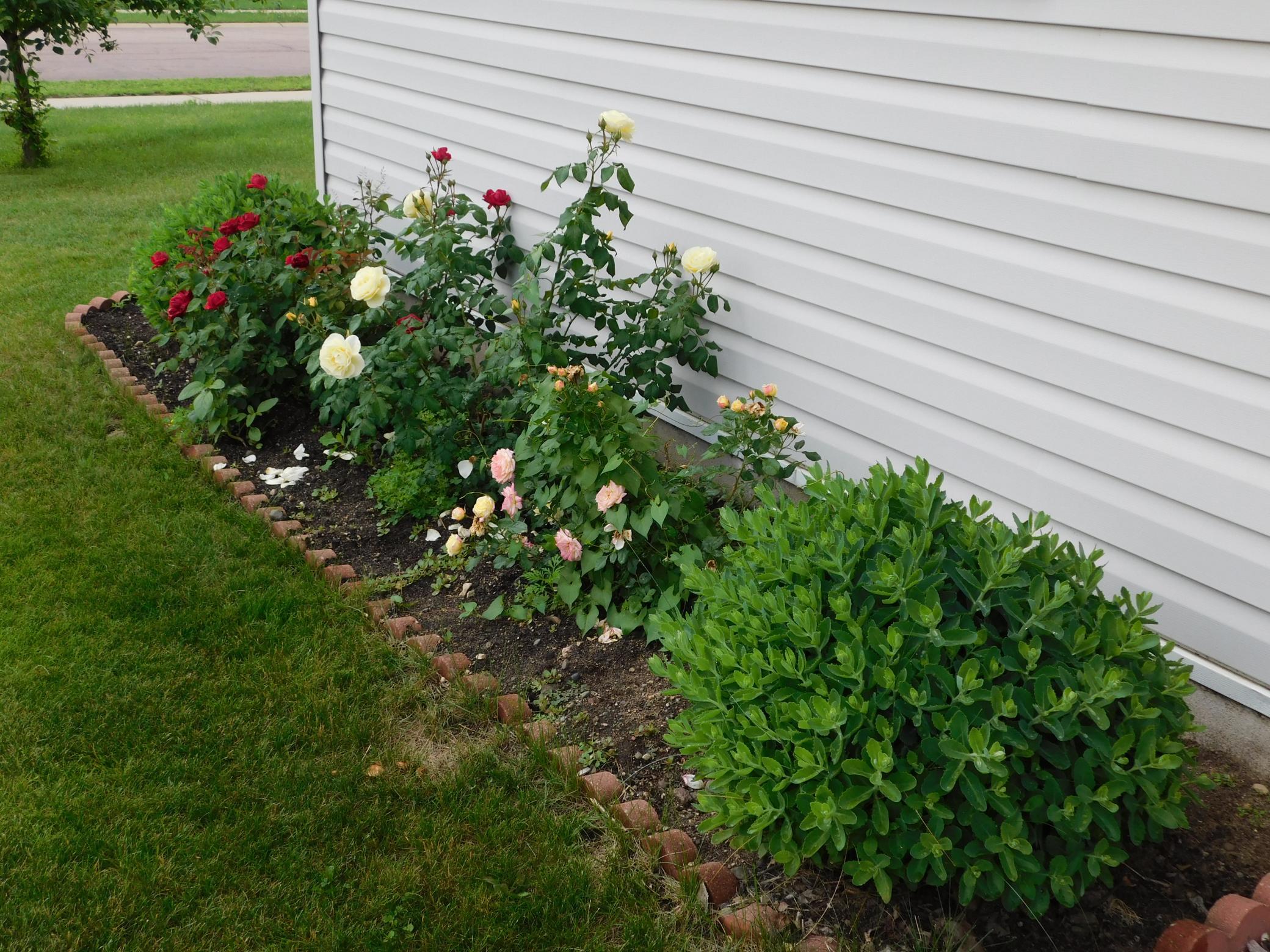 Easy to maintain landscaping