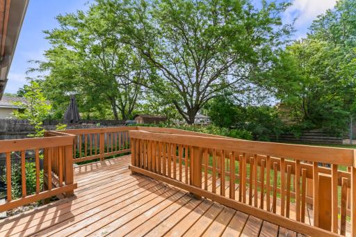 photos_high_resolution_DSC04493.jpg