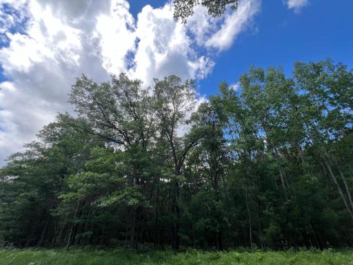 LOT 15 Loon Lake Road, Danbury, WI 54830