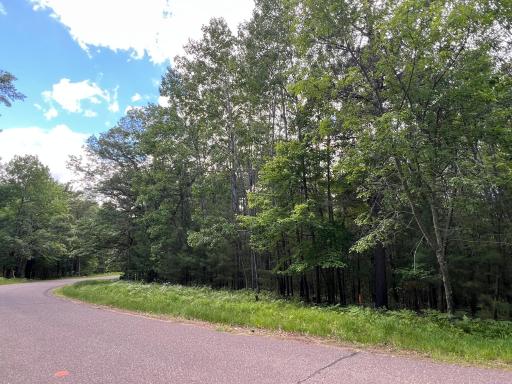 LOT 15 Loon Lake Road, Danbury, WI 54830