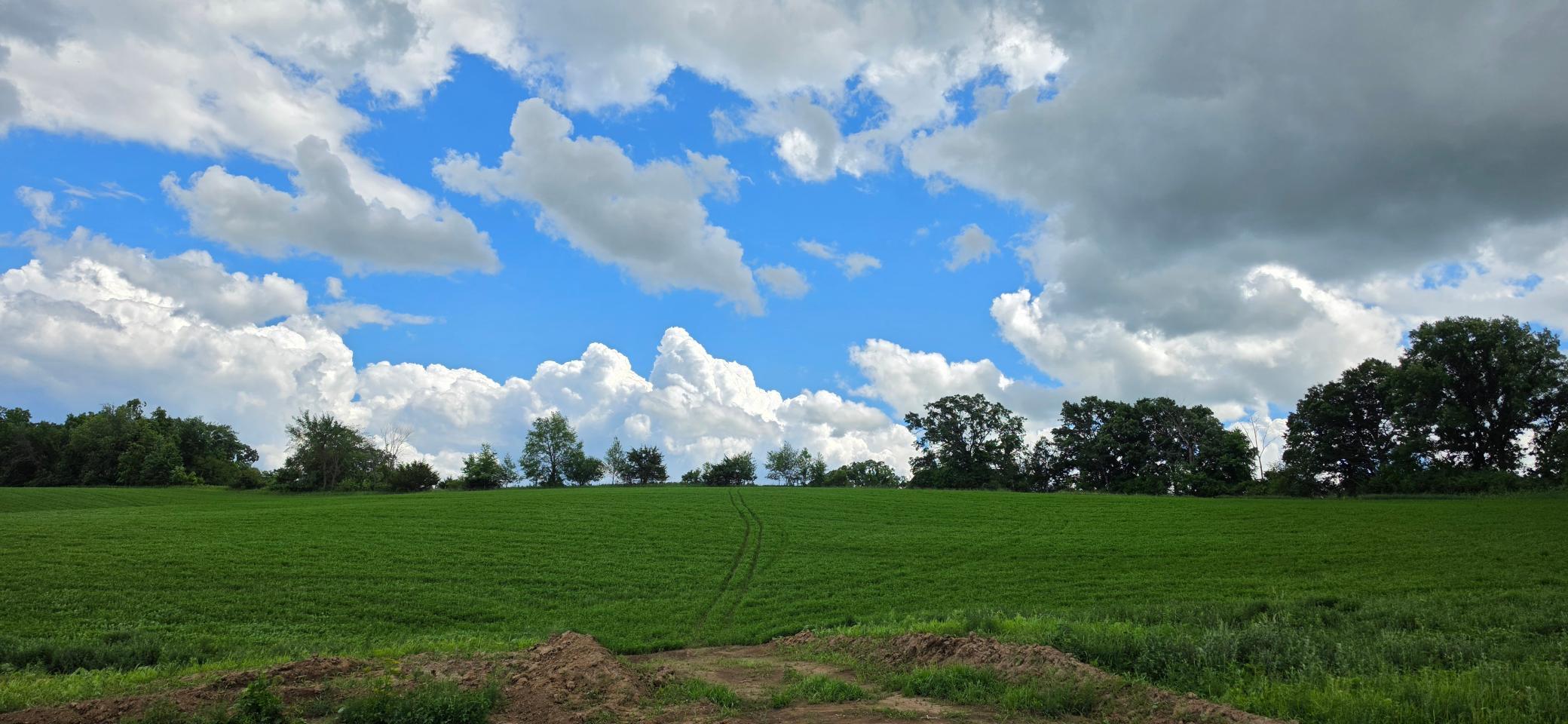 20260618_152903.jpg
