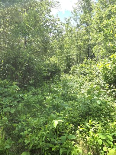 XXX MT Nelson Rd, Mahtowa, MN 55707