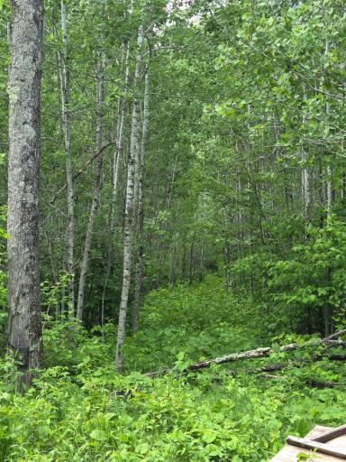 XXX MT Nelson Rd, Mahtowa, MN 55707