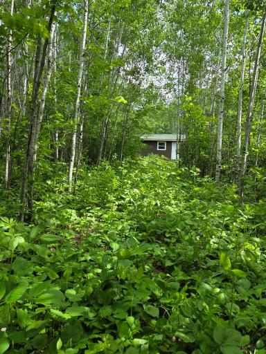 XXX MT Nelson Rd, Mahtowa, MN 55707