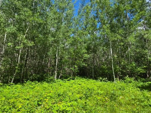 XXX MT Nelson Rd, Mahtowa, MN 55707