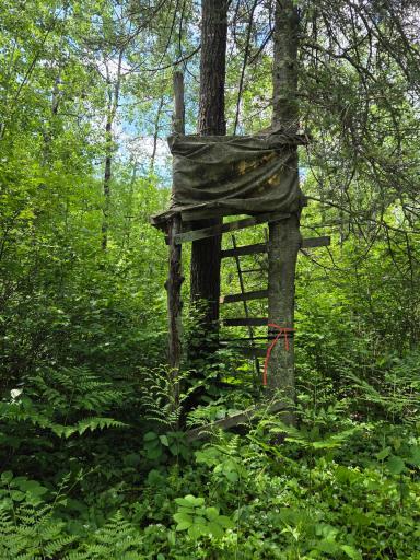 XXX MT Nelson Rd, Mahtowa, MN 55707