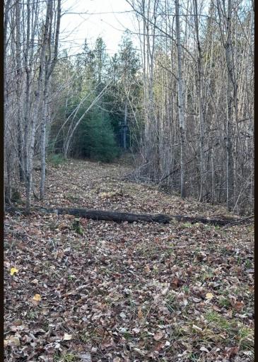 XXX MT Nelson Rd, Mahtowa, MN 55707