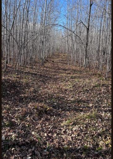 XXX MT Nelson Rd, Mahtowa, MN 55707