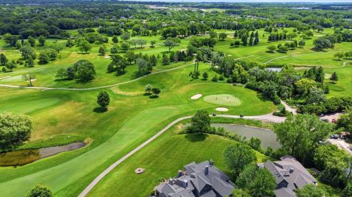 Stunning aerial image showcasing mature landscaping and golf course vistas.