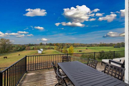 9685 County Road 13 SE, Delano, MN 55328