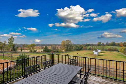 9685 County Road 13 SE, Delano, MN 55328
