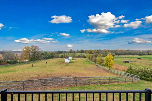 9685 County Road 13 SE, Delano, MN 55328
